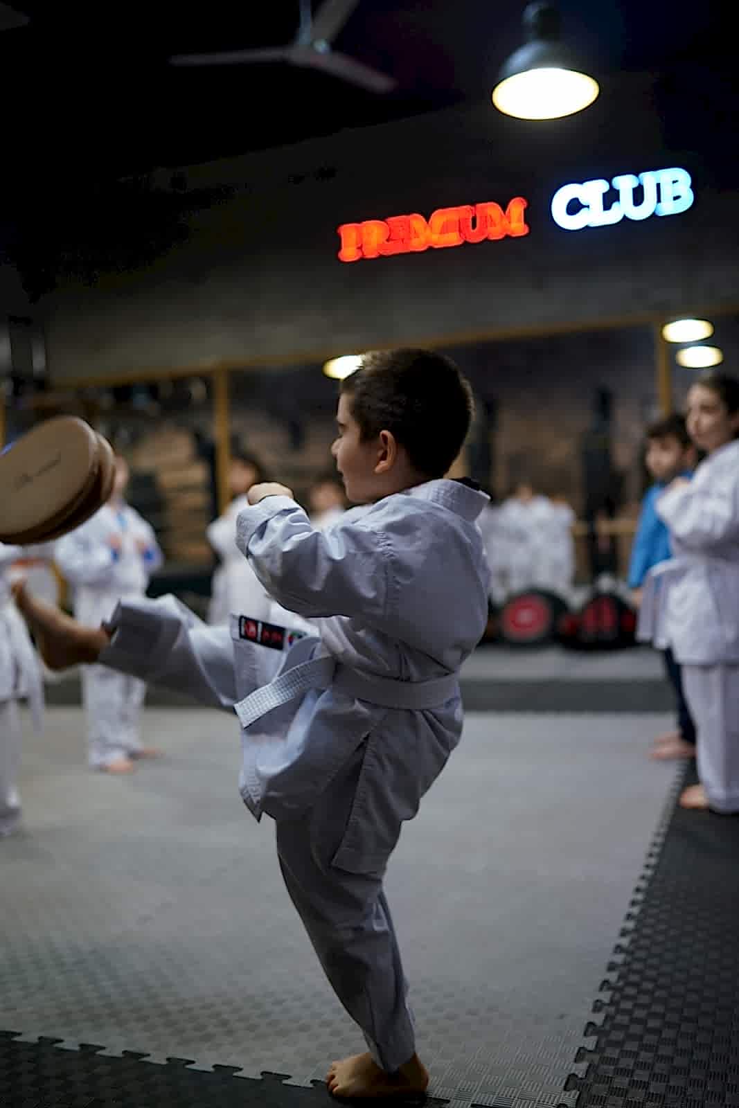 karate okullari